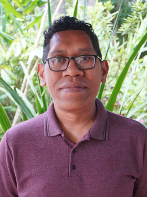 Pe. Wendelinus Sowe Telumas, SVD